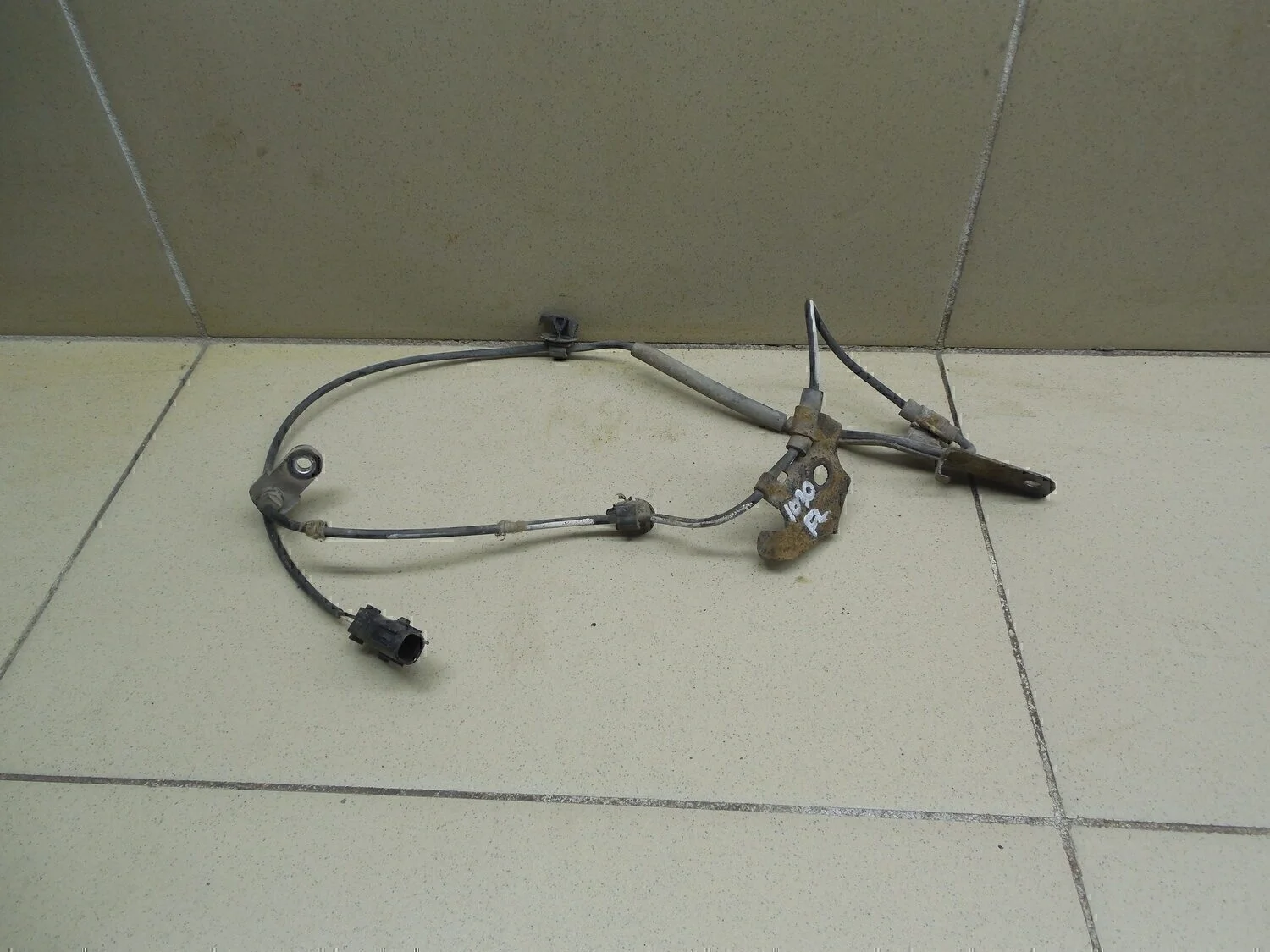 Датчик ABS передний левый Corolla E15 2006-2013