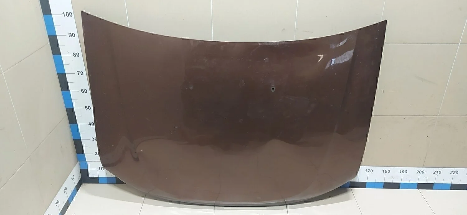 Капот Duster 2012>