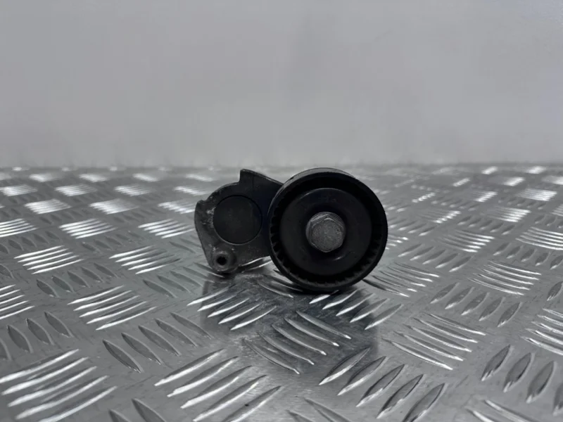 Натяжитель Volkswagen Passat B6