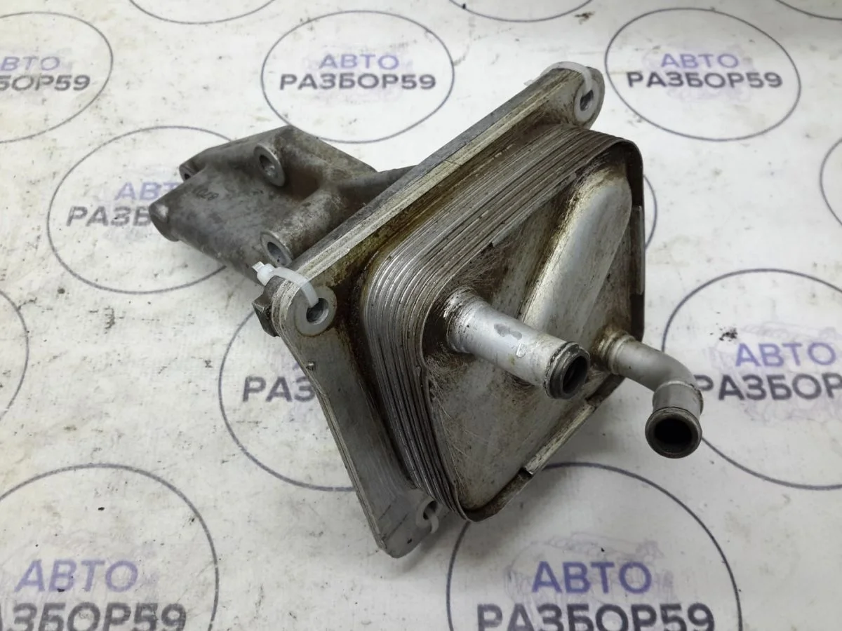 Радиатор масляный Nissan X-Trail II (2007—2011)