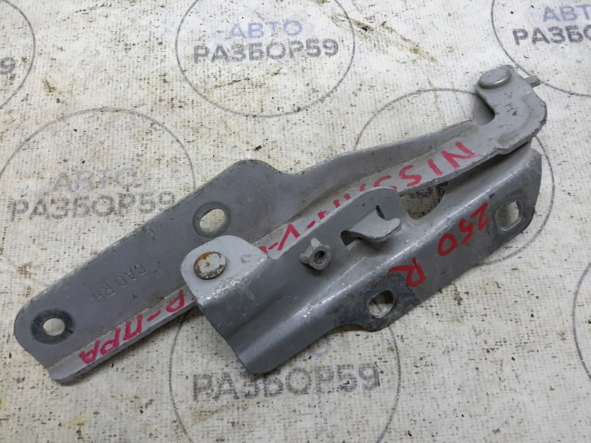 Петля капота Nissan Murano Z50 (2002—2008)