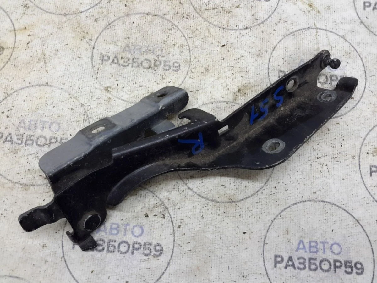 Петля капота Infiniti QX70 I (2013—2018)