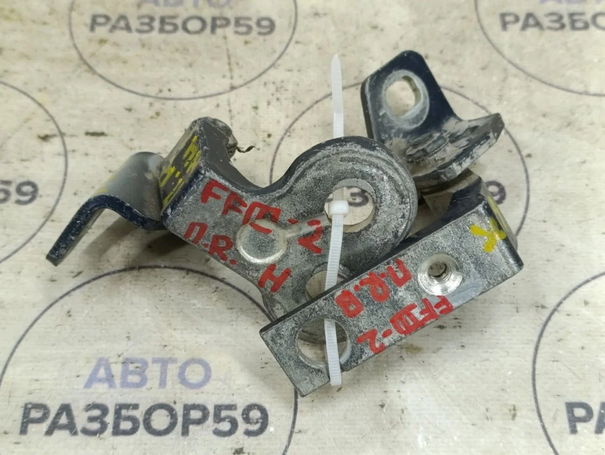 Петля двери Ford Focus III рестайлинг (2014—2019)