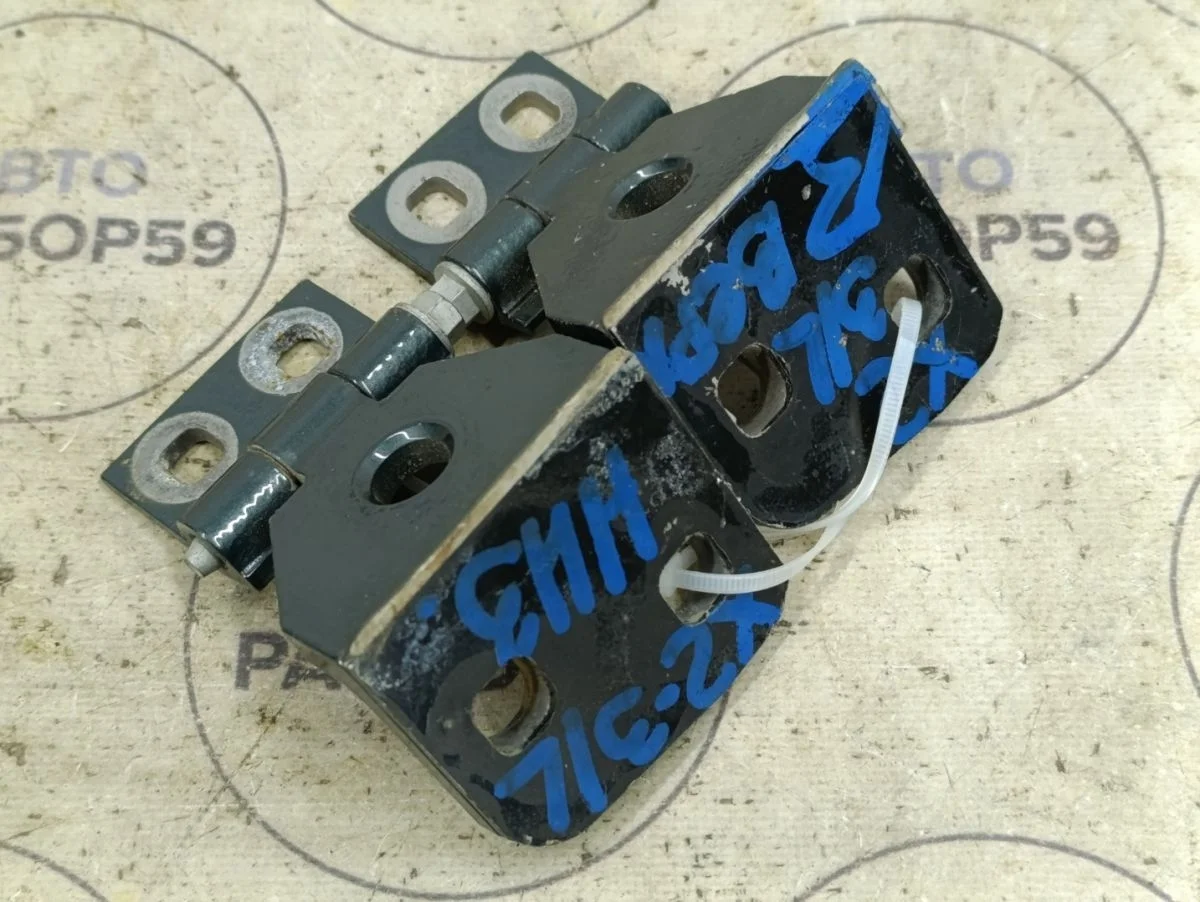 Петля двери BMW X3 E83 (2003—2006)