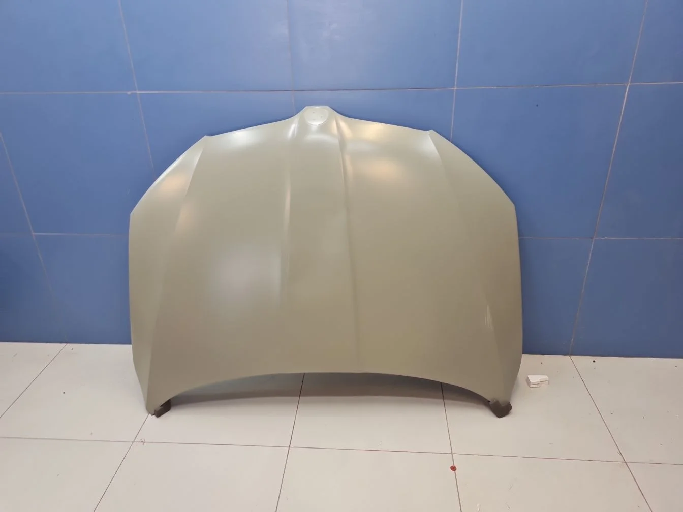 Капот для Skoda Octavia A7 2013-2020