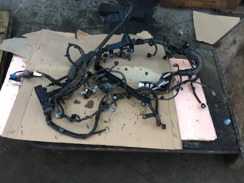 Проводка ДВС Toyota Land Cruiser 2010 8212160D90 URJ200 1VD-FTV 4.5