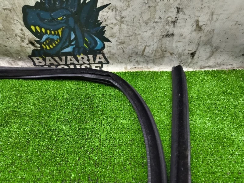 Уплотнитель двери BMW 5 2004 51727122433 E60 M54B30, передний