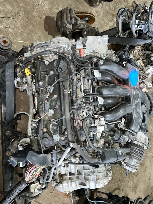 Двигатель Nissan Murano 2011 Z51