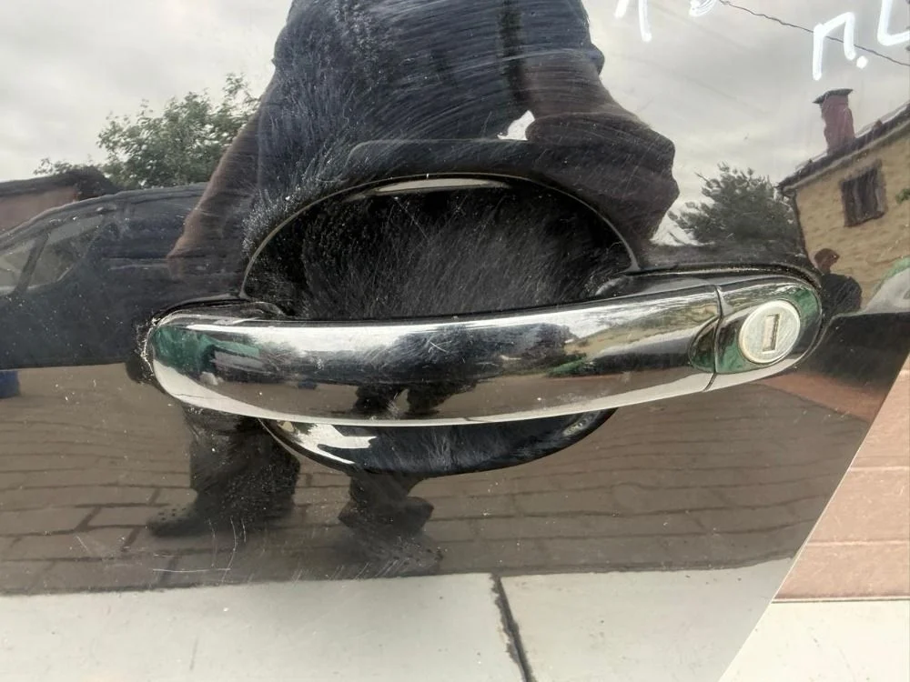 Ручка двери наружная Volkswagen Golf Plus I (2005—2009)