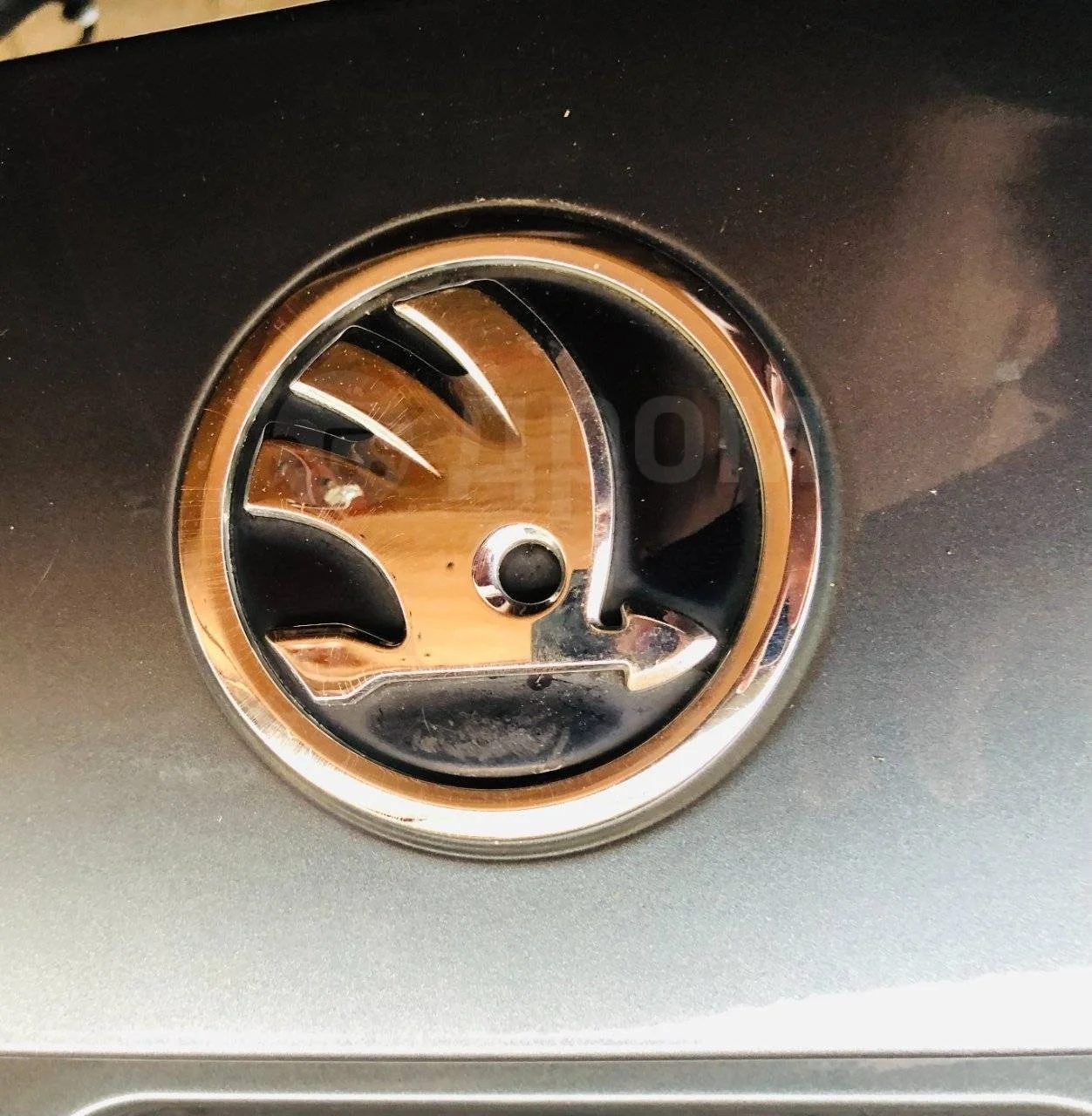 Эмблема Skoda Octavia III (2013—2017)