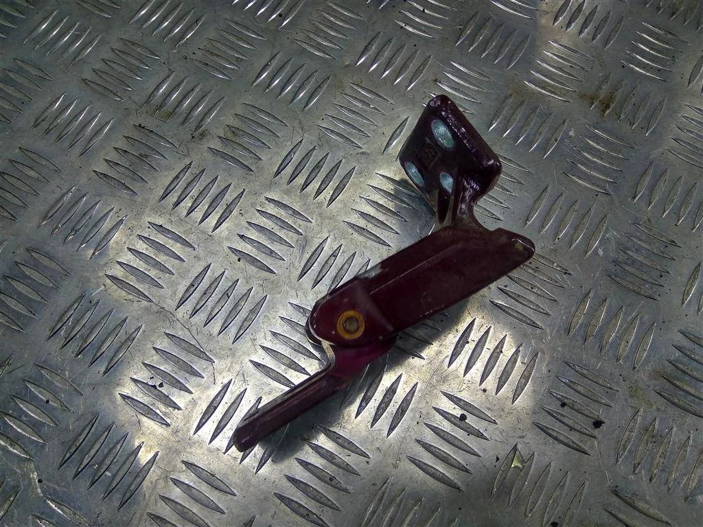 Петля двери распашной Volkswagen Crafter I (2006—