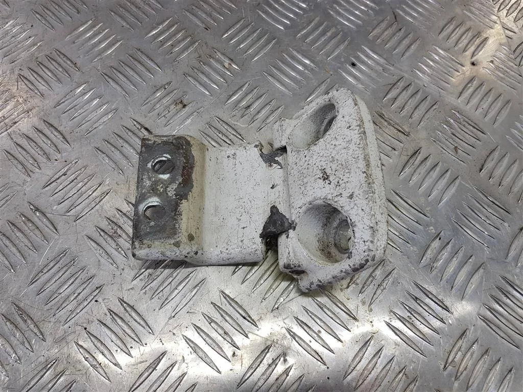 Петля двери распашной Citroen Jumper II (2006—201