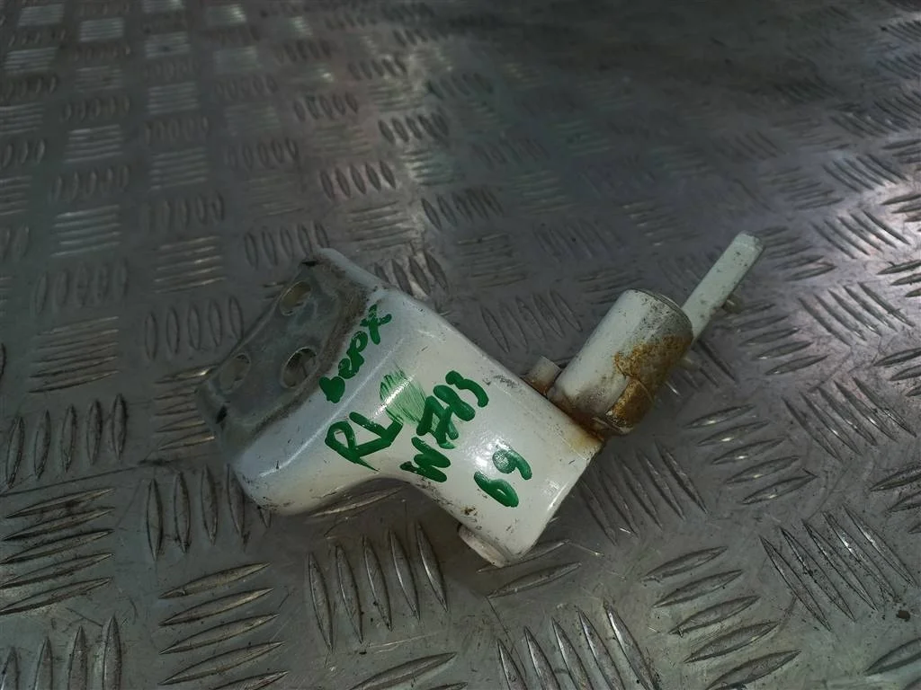 Петля двери распашной Citroen Berlingo II (2008—2