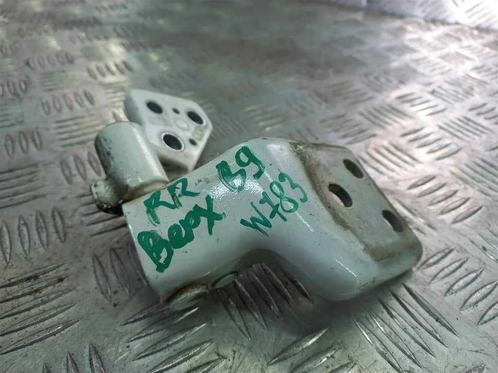 Петля двери распашной Citroen Berlingo II (2008—2