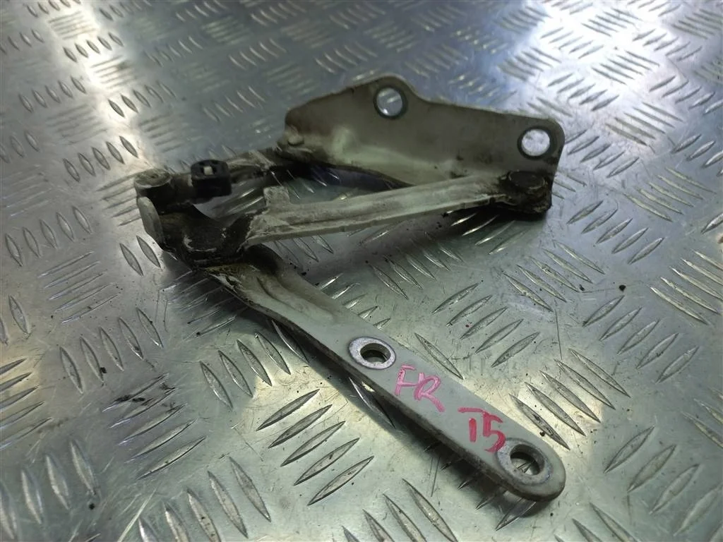 Петля капота правая Volkswagen Transporter T5 (20