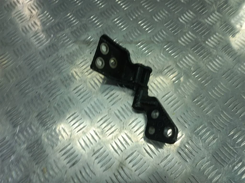 Петля двери распашной Citroen Berlingo II (2008—2