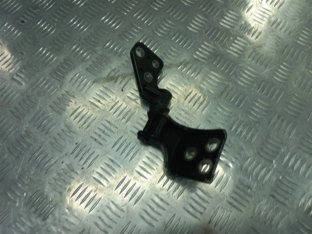 Петля двери распашной Citroen Berlingo II (2008—2