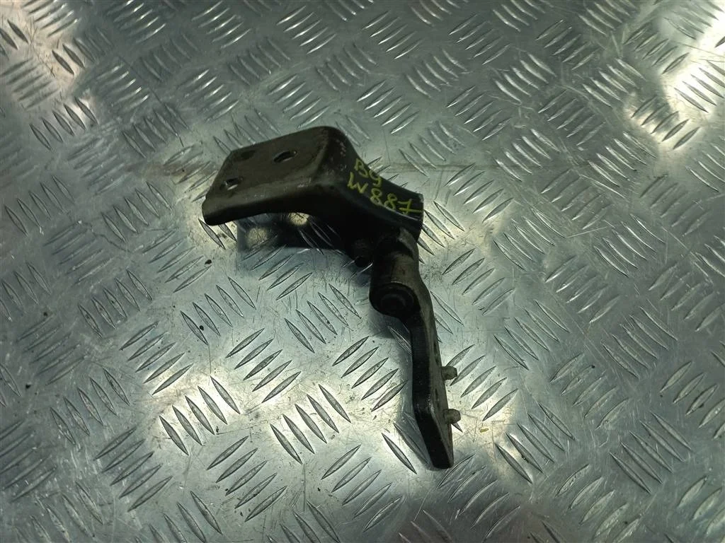 Петля двери распашной Citroen Berlingo II (2008—2