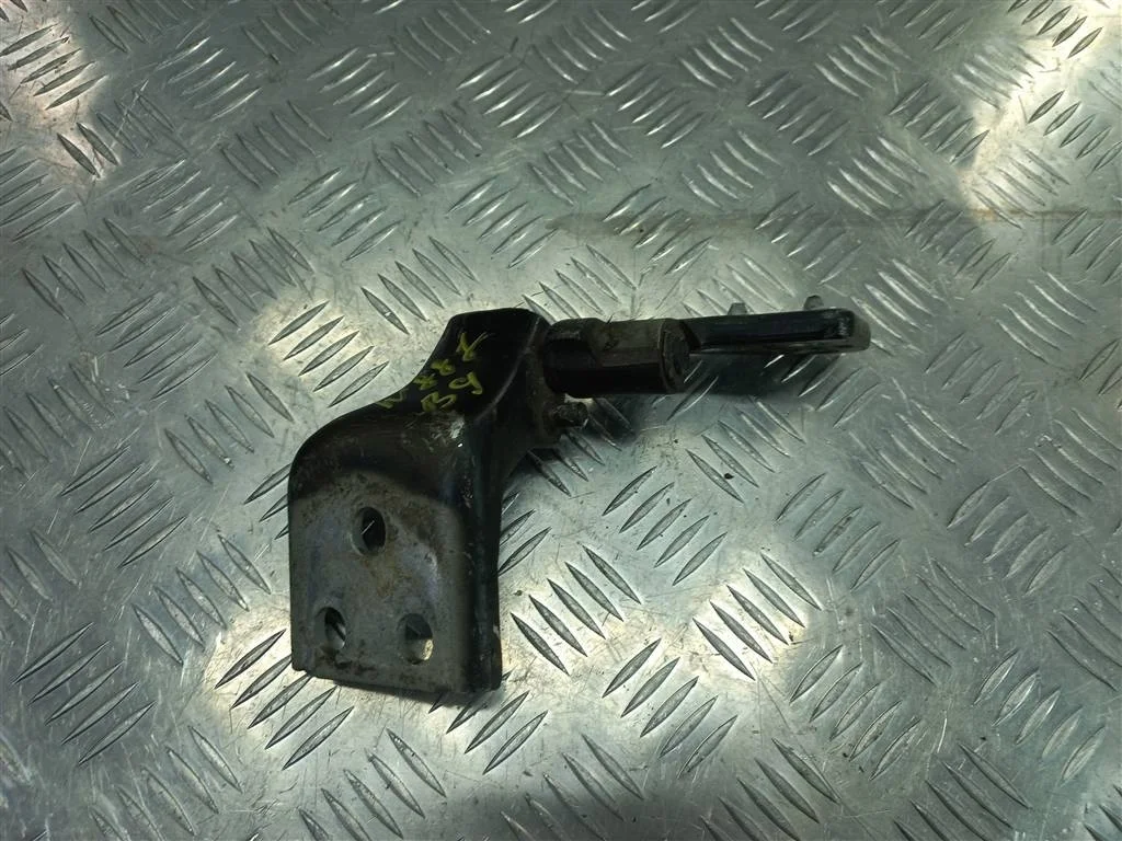 Петля двери распашной Citroen Berlingo II (2008—2