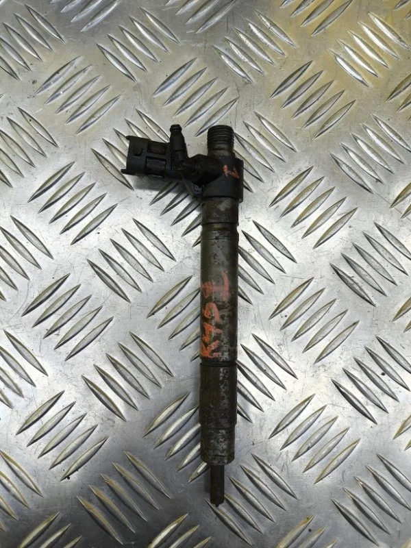 Форсунка топливная Land Rover Range Rover Evoque I (2011-2018) 2012 LR056366 2.2 D