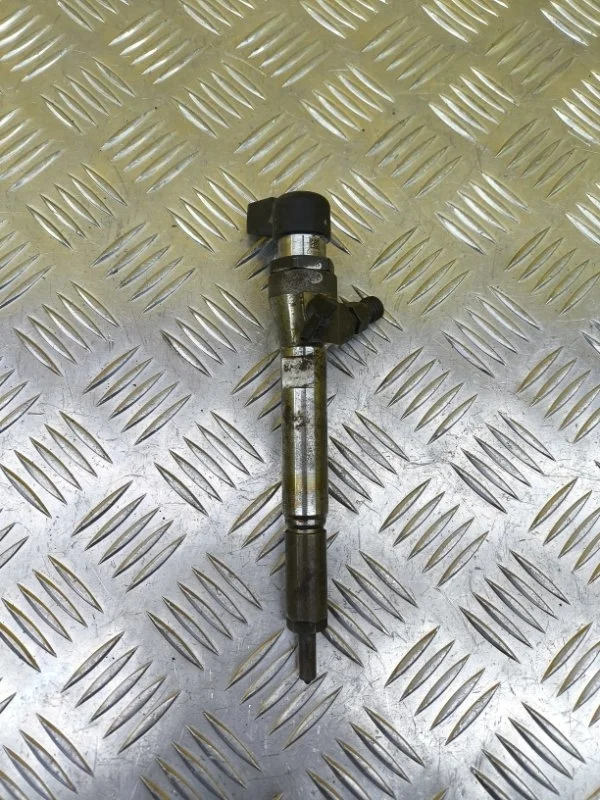 Форсунка топливная Nissan Qashqai (J10) 2006-2013 2010 166009445R