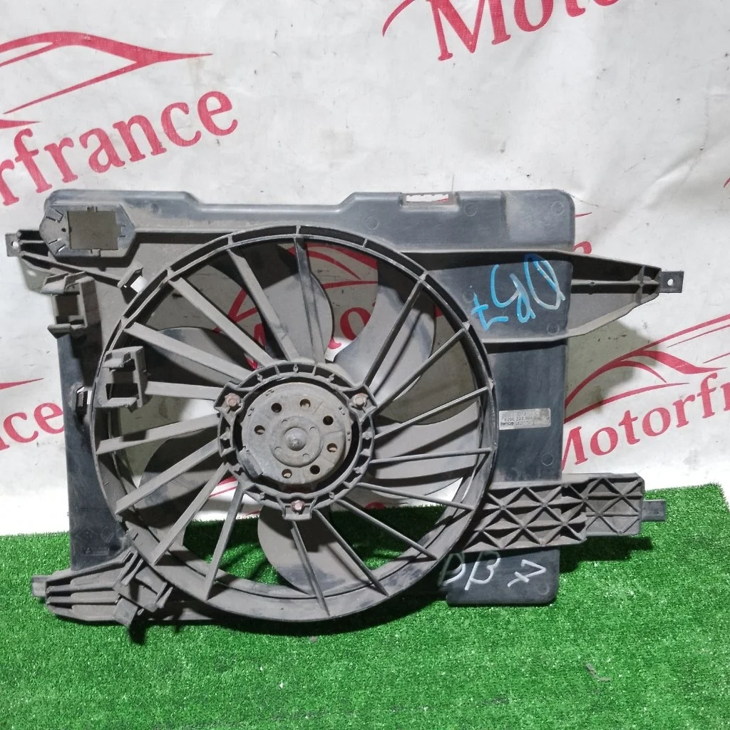 Вентилятор радиатора Renault Scenic 2005 8200222998 2