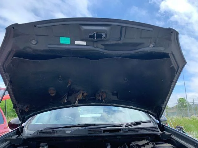 Продажа Nissan Qashqai 2.0 (141Hp) (MR20DE) FWD CVT по запчастям