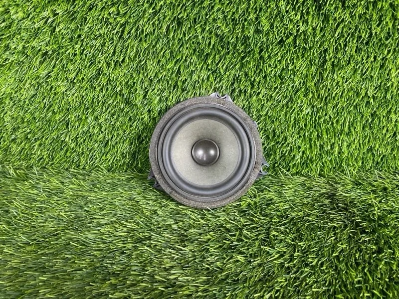 Динамик BMW X3 2008 65139209183 E83 N52B25A, задний