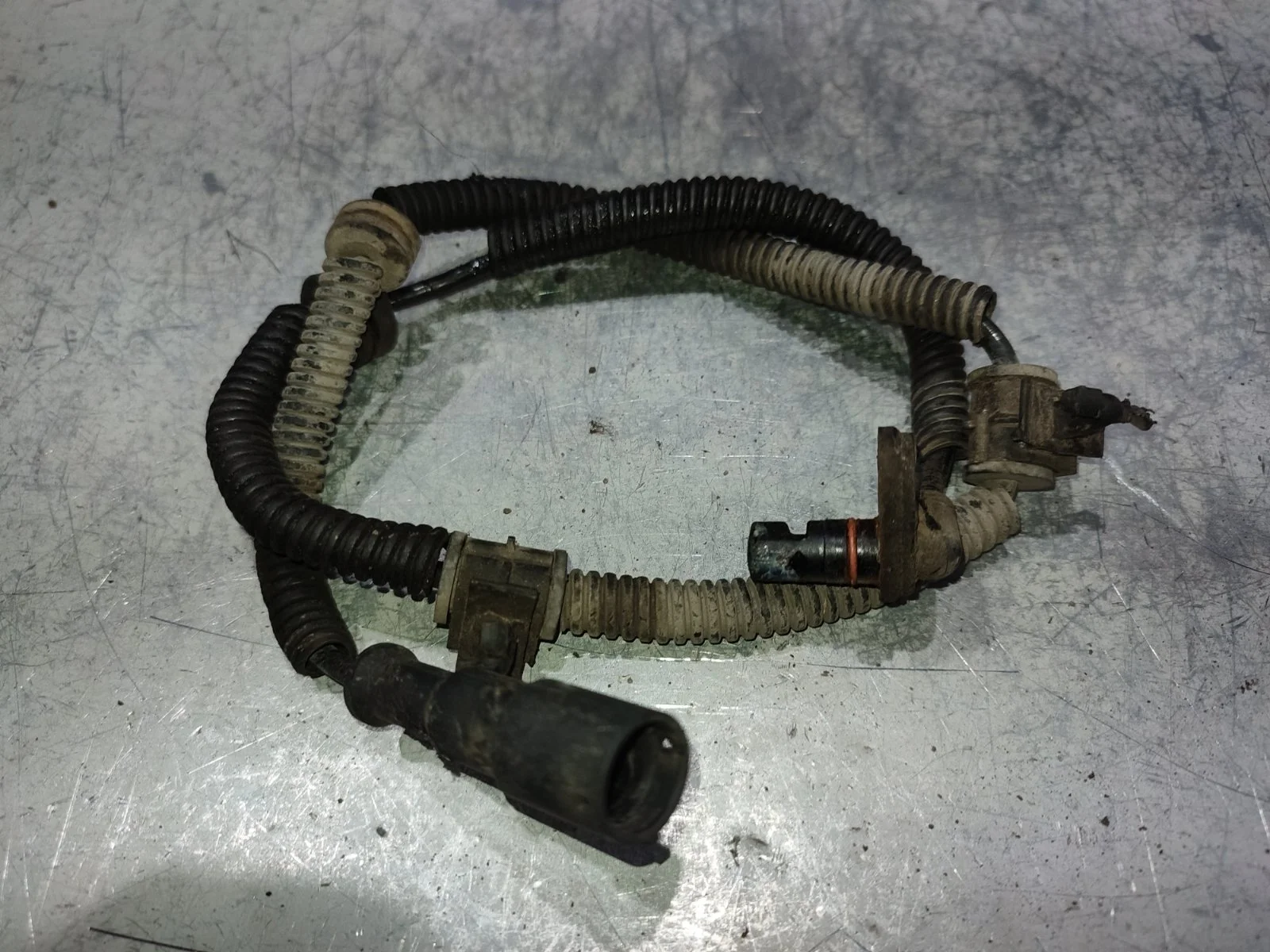 Датчик abs Ssangyong Kyron