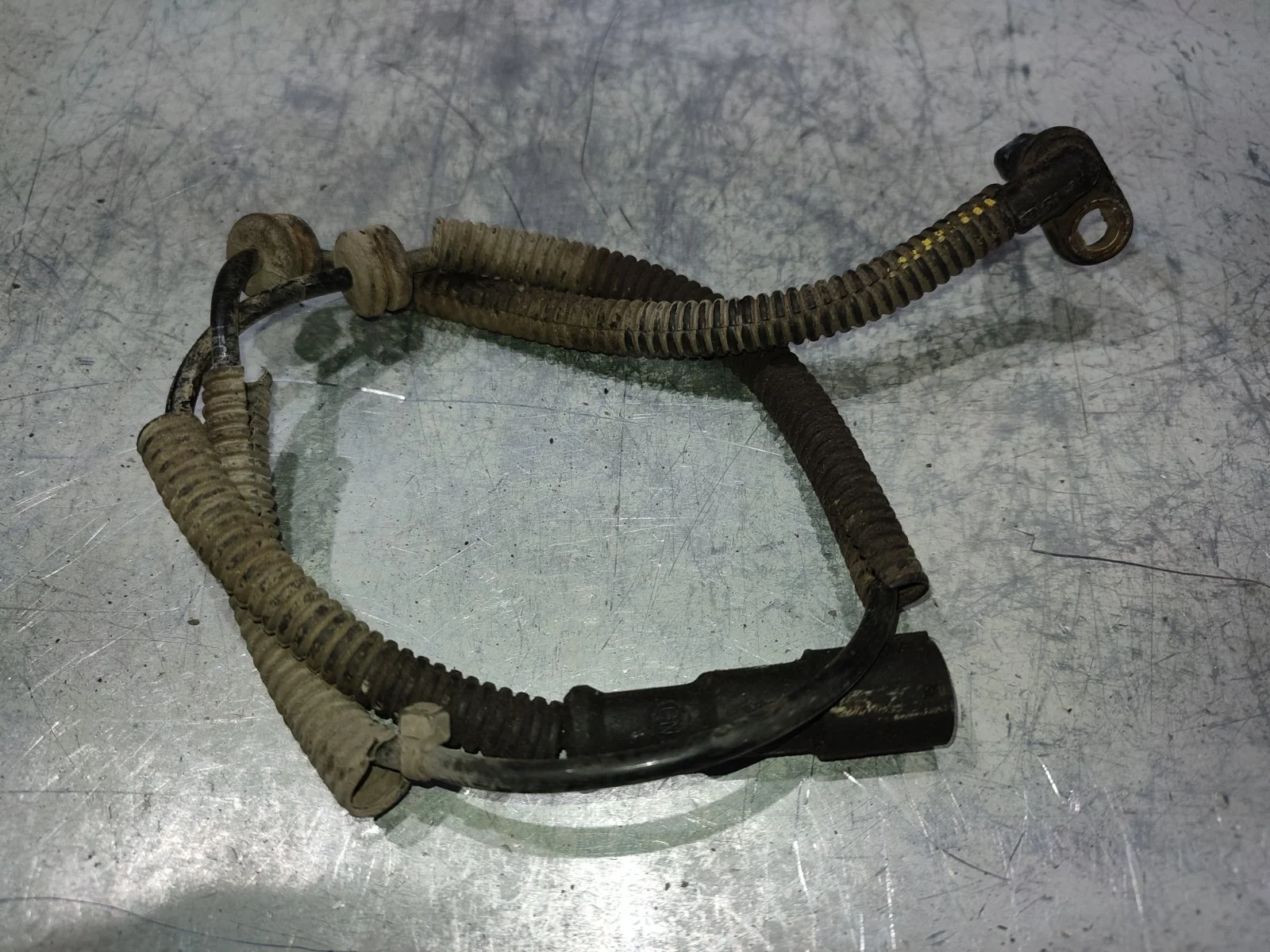 Датчик abs Ssangyong Kyron