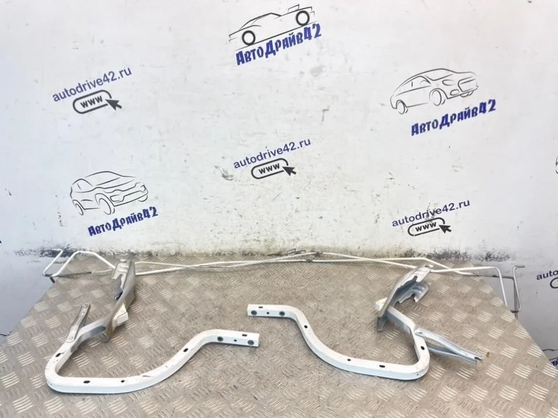 крепление крышки багажника Toyota Camry 2008 ACV40 2AZ-FE