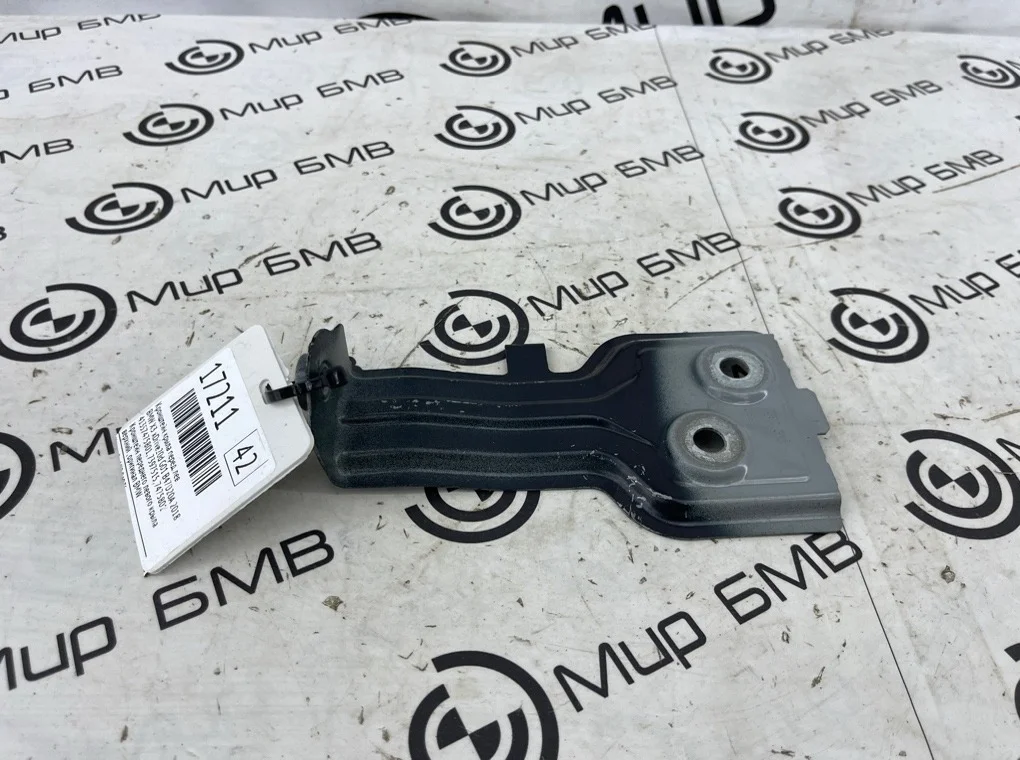 Кронштейн крыла BMW X3 xDrive20d 2018 G01