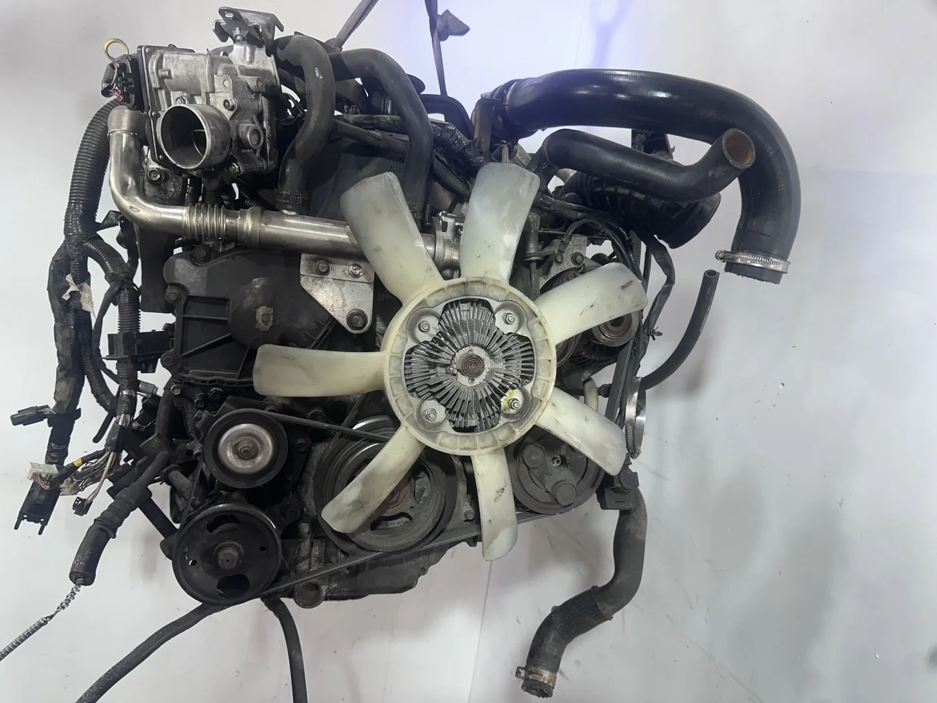 Двигатель YD25DDTI  YD25 2.5 DCI Nissan