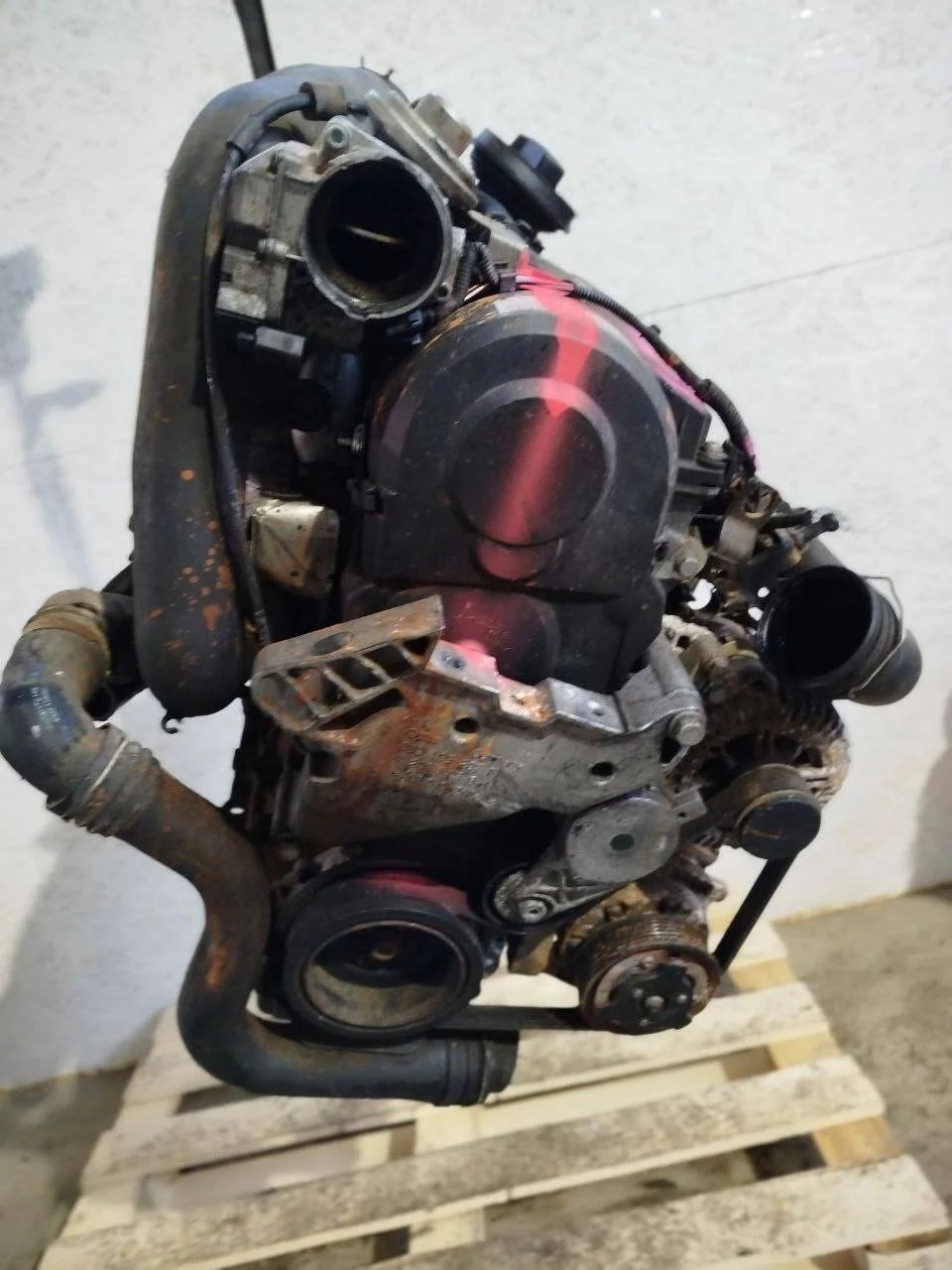 Двигатель BXE Volkswagen Passat B6 1.9 Дизель