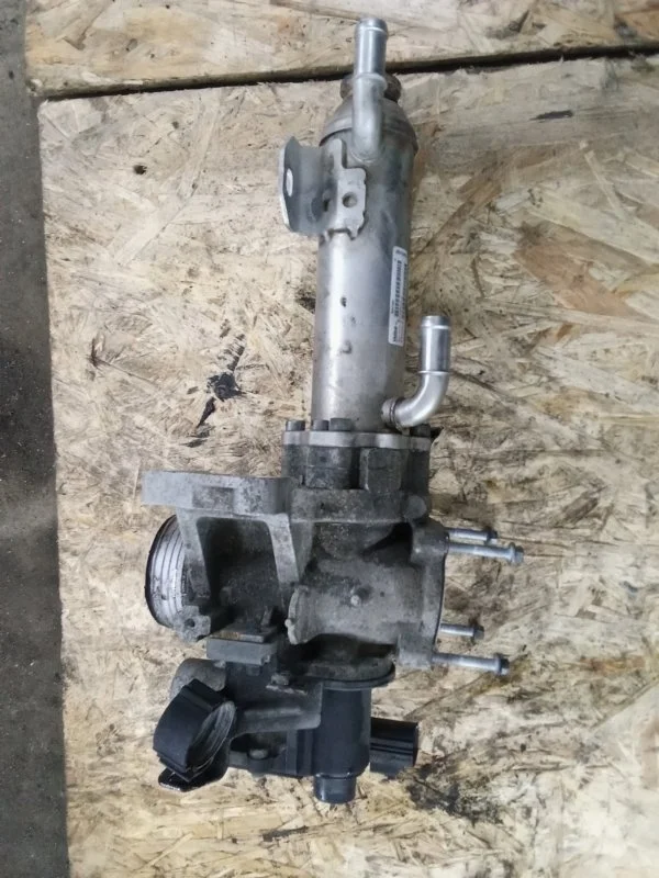 Клапан EGR Volvo Xc90 2012 36000997 D5244T18