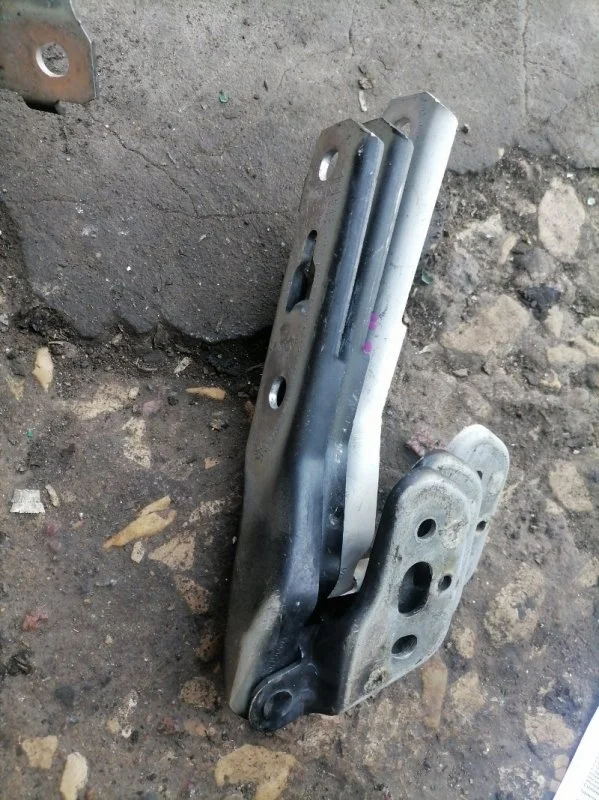 Петля капота Audi A6 Allroad 2007 4F5