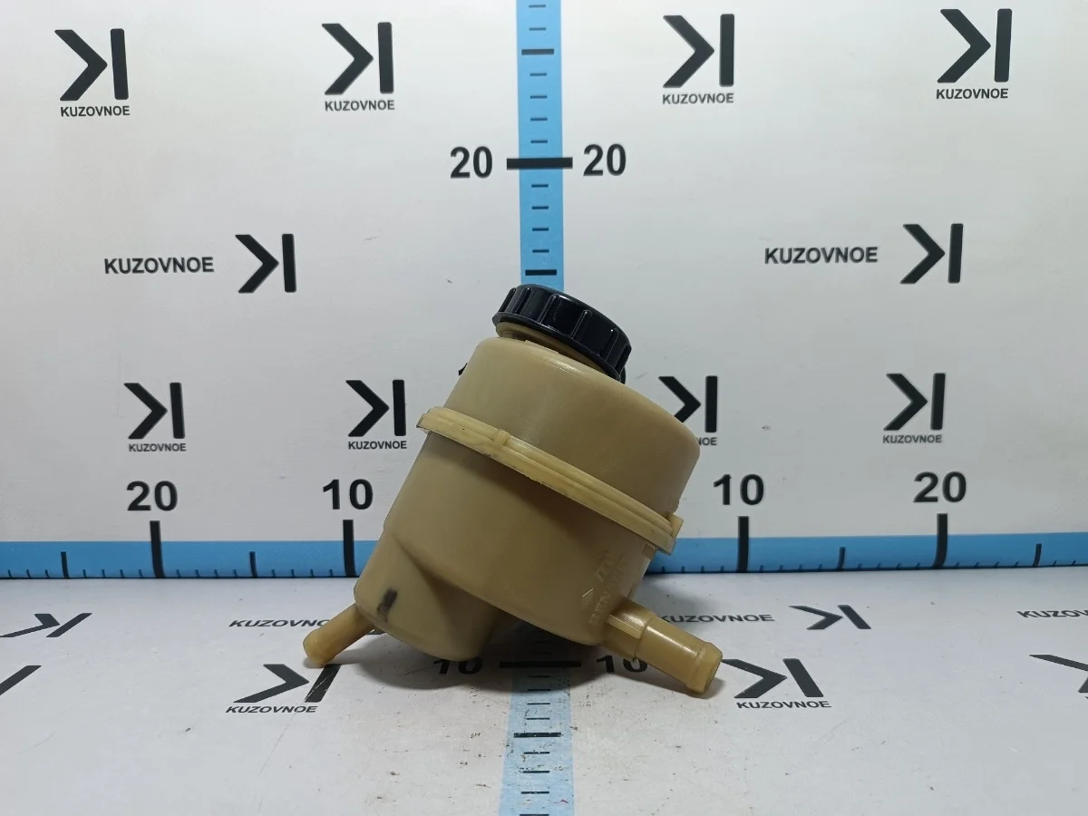 Бачок гидроусилителя Renault Duster 2015 HSM