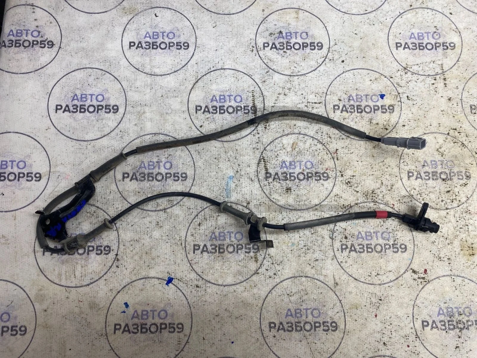 Датчик ABS передний правый Hyundai Creta I (2016—2020)