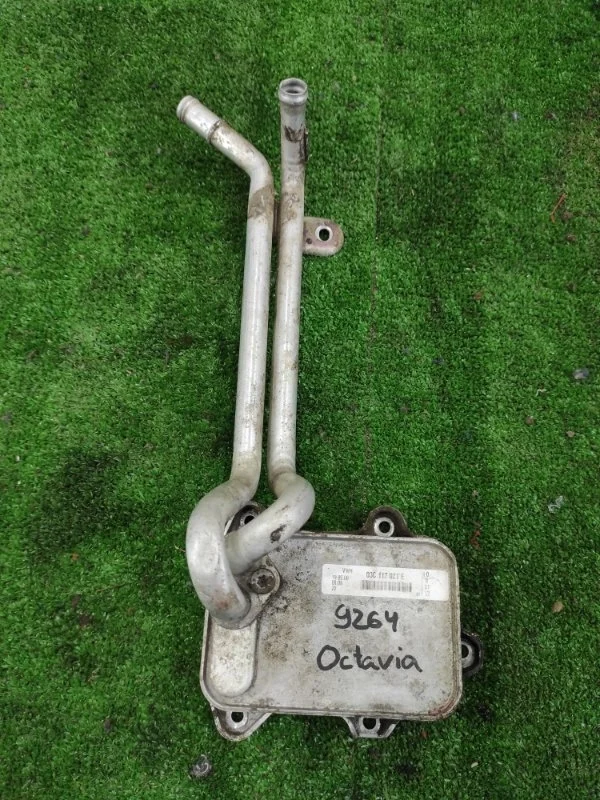 Радиатор Масляный Skoda Octavia 2010 03C117021E A5 CAXA