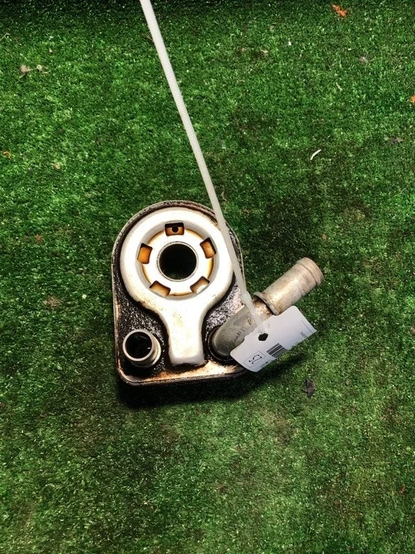 Радиатор Масляный Ford Fiesta 2016 1925463 IQJE