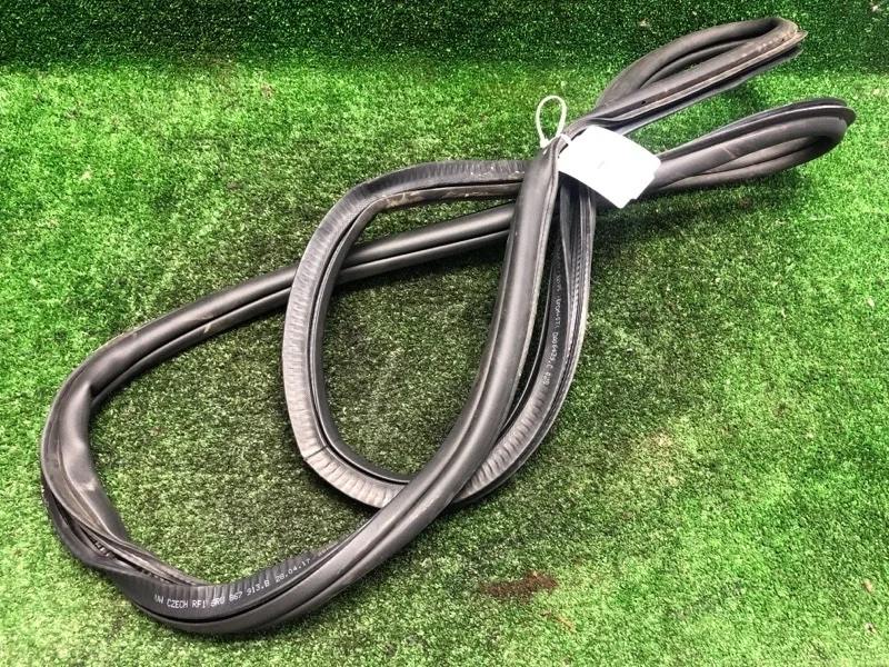 Уплотнитель двери Volkswagen Polo 2017 6RU867913C 6C1 CWV289433, задний левый