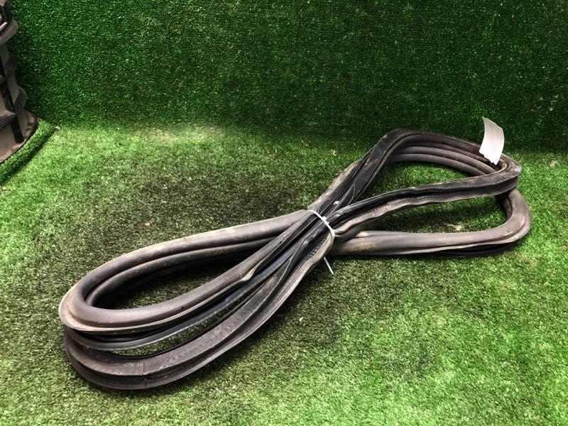 Уплотнитель двери Volkswagen Polo 2018 6RU867914C 6C1 CWV 596315, задний правый