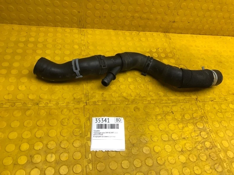 Патрубок Volkswagen Polo 2020 6C0122101AE CWV 813497