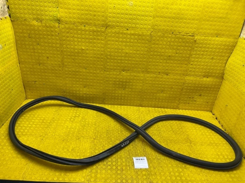 Уплотнитель двери Volkswagen Polo 2019 6RU867914C CWV741440, задний правый