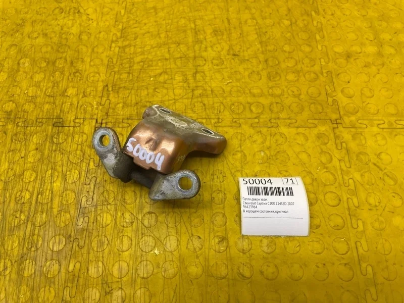 Петля двери Chevrolet Captiva 2007 96623964 C100 Z24SED, задняя