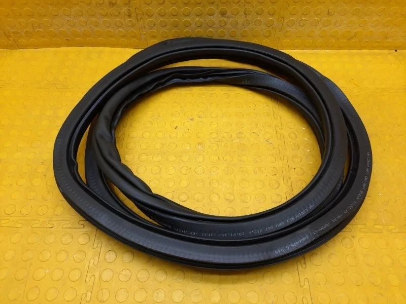 Уплотнитель двери Volkswagen Polo 2017 6RU867912E CWV 279652, передний правый