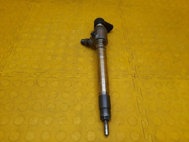 Форсунка топливная Ford Transit 2022 1746967 TTG NY85959