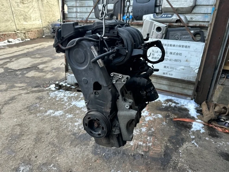 Двигатель Volkswagen 2005-2014 06A100043P BSE