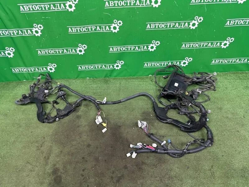 Проводка ДВС Toyota Venza 2012-2016 821110T321 1AR