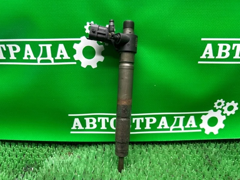 Форсунка топливная Land Rover Evoque 2011-2016 9687454480 224DT